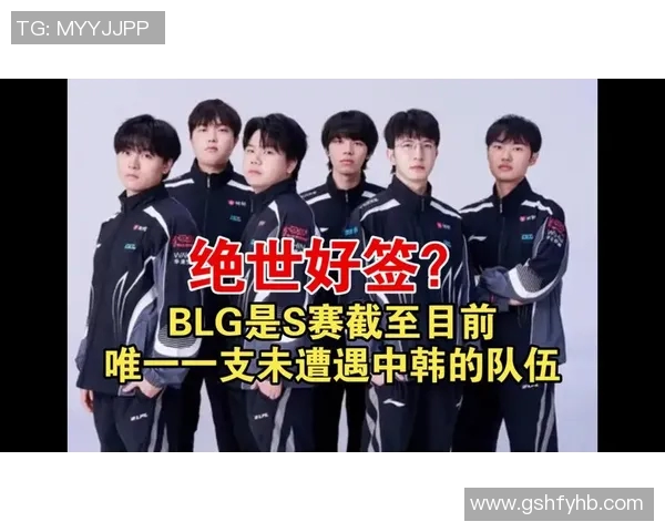 esports数据王者荣耀最新配合排行榜揭晓BLG战队强势跻身第五名引发热议 esports数据王者荣耀最新配合排行榜揭晓BLG战队强势跻身第五名引发热议