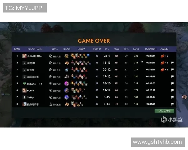 黄芳深度解析DOTA2赛季15独特心得与策略分享